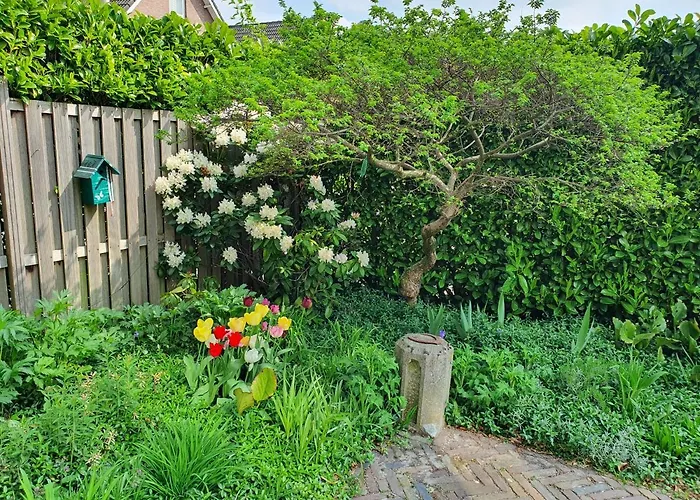 De Loeff Bed and Breakfast 3*